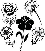 Delicate Wildflower Line Drawings Set vector