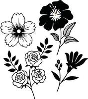 Line Art Botanical Flower Illustrations Set vector