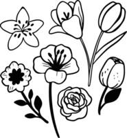 Floral Bouquet Illustrations in Minimalist Sketch Style vector