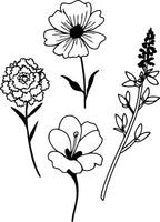 Nature-Inspired Floral Doodle Pack vector