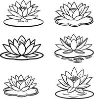 Simple Botanical Line Sketches Collection vector
