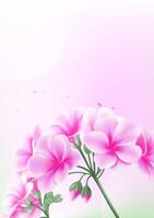 Spring vertical illustration design pink hydrangea vector