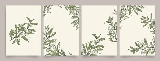 Elegant botanical posters with hand drawn olive branches with olives on soft neutral backgrounds. Minimalist and nature, invitations, greeting cards, stationery, prints, and packaging design. vector
