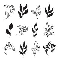 Set of organic minimalist silhouette summer and spring branches with leaves. Simple flower logo design element. Elegant floral twig decoration. Botanical simple. Plant icon set vector