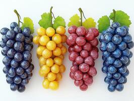 Bunches of colorful grapes hanging on white background photo