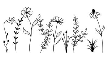 Set of flower line art bouquets. Floral sketch plant isolated white background. vector