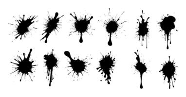 Set of splash paint isolated on white background. vector