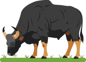 A grazing black buffalo with orange accents in a minimal and flat design, showcasing natures beauty in art vector