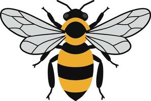 Detailed illustration of a bumblebee with black and yellow stripes in flat art style, showcasing its wings and body features vividly in a natural setting vector