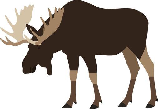 Majestic moose standing gracefully in a serene natural setting with flat color design style showcasing art vector