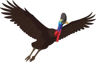 Colorful cassowary with large wings spread wide in a dynamic pose in flat art vector
