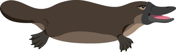 Platypus swimming gracefully in a minimalistic flat design style showcasing its unique features in vibrant art vector