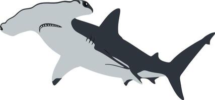 Hammerhead shark swimming gracefully in a calm ocean with a minimal design style showcasing art vector