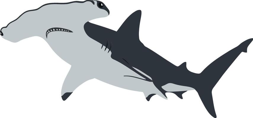 Hammerhead shark swimming gracefully in a calm ocean with a minimal design style showcasing art