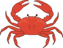 Red crab with large claws depicted in a minimalistic flat design showcasing vibrant colors, geometric shapes, and natural elements in art vector