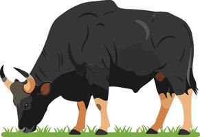 A grazing black bull with curved horns in a flat design style against a simple grassy background, showcasing a peaceful farm atmosphere in art vector