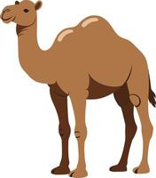 Detailed illustration of a standing camel showcasing a flat design style in warm, earthy tones, perfect for educational art vector