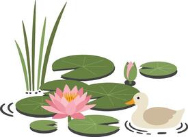 Serene pond scene featuring a gentle duck swimming among vibrant water lilies in a flat illustration vector