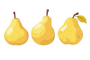 A collection of sweet pears. vector