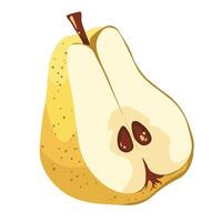 Shiny fruit with smooth texture. vector