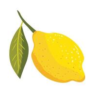 Large yellow lemon with a leaf vector