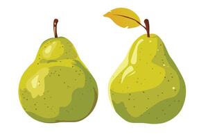 A selection of ripe pears. vector