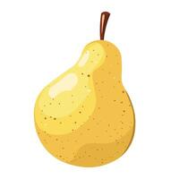 Fresh pear drawing with shine vector