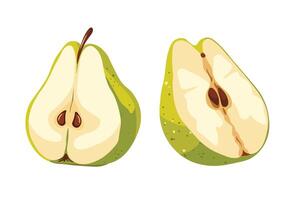 A variety of colorful pears. vector