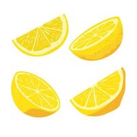 Set of lemon slices vector