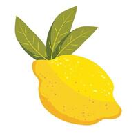 Large lemon with leaves vector