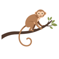 Jungle Monkey Illustration with Simple Design png
