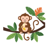Cute Monkey Sitting on a Tree Branch with a Banana png