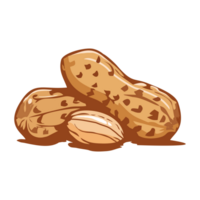 Peanuts in the shell and separately png