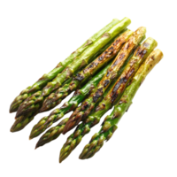 Grilled Asparagus on White on transparent background. png