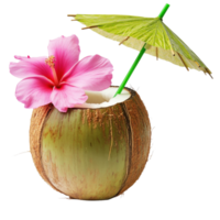 Fresh Coconut with Pink Flower on transparent background. png