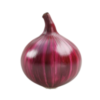 Red Onion 3D Render Icon on transparent background. png