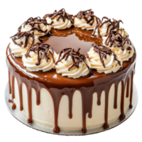 Delicious Vanilla Caramel Cake on transparent background. png