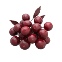 A cluster of ripe red berries with dark leaves on display isolated on transparent background. png