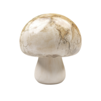 A single mushroom with a textured cap and smooth stem isolated on transparent background. png