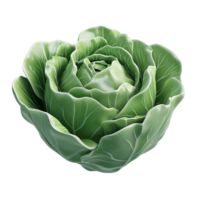 A rendered image showing a green cabbage vegetable isolated on transparent background. png