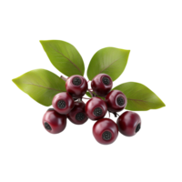 A close up image of a bunch of dark berries png