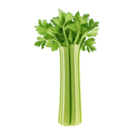 Fresh and crisp bunch of green celery isolated on transparent background. png