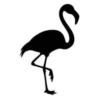 Flamingo standing on one leg Silhouette. vector