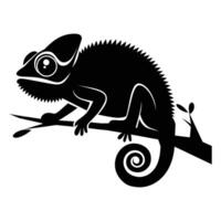 Chameleon on a branch Silhouette. vector