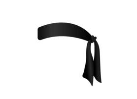 Black belt with knot symbolizing skills and achievement for karate or martial arts enthusiasts vector