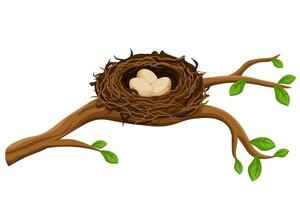Bird's nest on branch with three eggs shows nature's beauty and life's beginnings vector