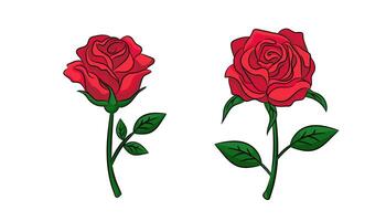 Two vibrant red roses with green leaves captured in beautiful artistic detail and simplicity vector