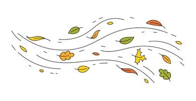 Autumn breeze with colorful falling leaves on a white background vector