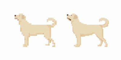 A delightful Pixel Art illustration showcasing Two Happy Dogs depicted in their Side Profile view vector