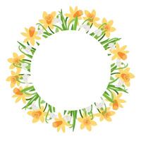Floral wreath illustration made of yellow daffodils and white snowdrop flowers arranged in a circular frame. hand drawn template isolated on white background vector